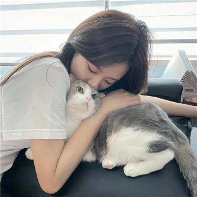 不知剧情也无妨